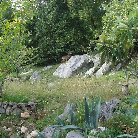 By Interhome Apartment Opatija